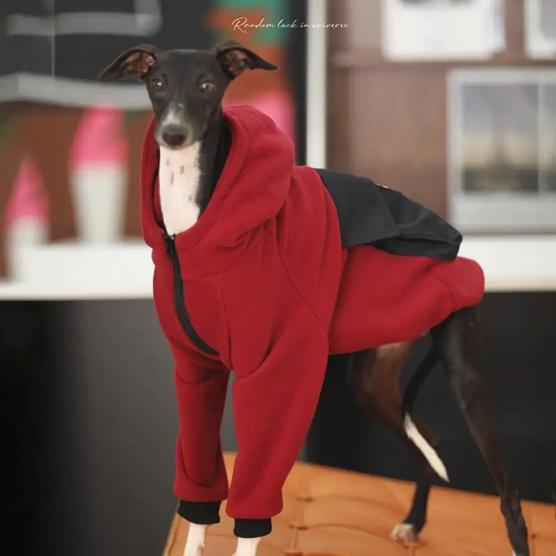 Ropa de galgo italiano Whippet con capucha a la moda con cremallera, sudadera cálida para perro, abrigo Iggy italiano, ropa de Whippet en invierno - imagen 3