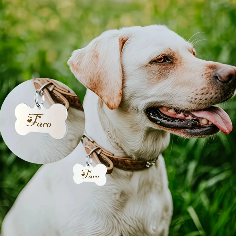 Placas identificativas para perros y gatos – Acero inoxidable - imagen 5