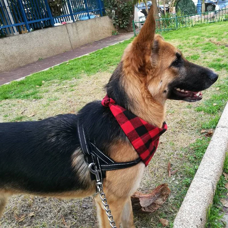 Bandanas algodón suave perros - Empaque y presentación