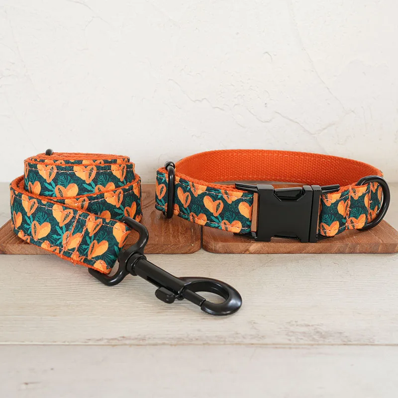 Dog Collar Leash Set