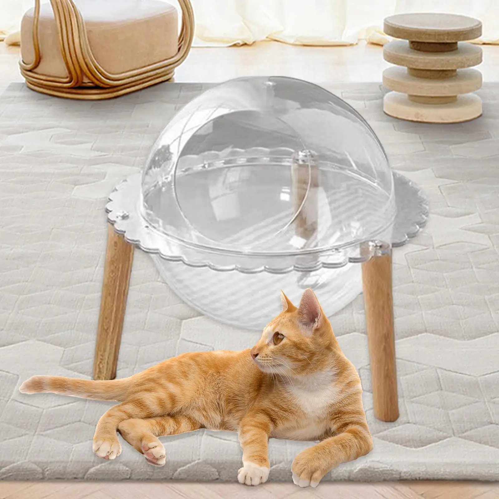 Space Capsule Cat Bed Space Capsule Scratching Pet House Pet Accessories Space Capsule Cat Bed Space Capsule Scratching Pet House Pet Accessories