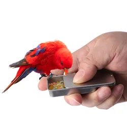 Alimentador de mano para loros y aves – Juguete interactivo de entrenamiento