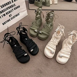 Calzado para perros y gatos 2024 - Zapatos y botas comodos
