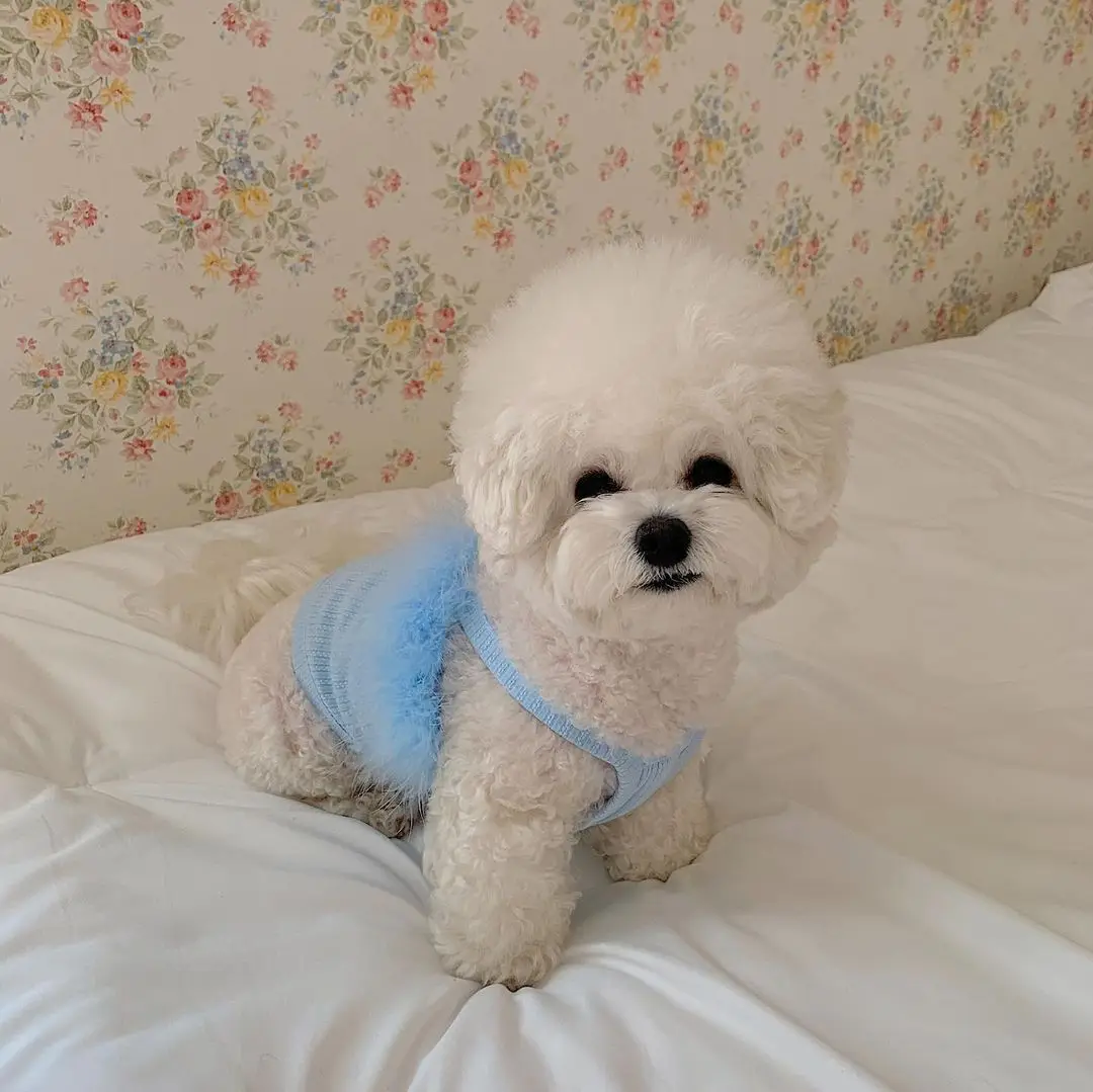 unknown_335757702_195500016435