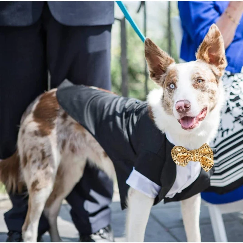 Camisa de esmoquin para perros pequeños, ropa formal para perros, disfraz de boda, traje con pajarita, traje para perros, cumpleaños de mascotas, ropa navideña - imagen 4