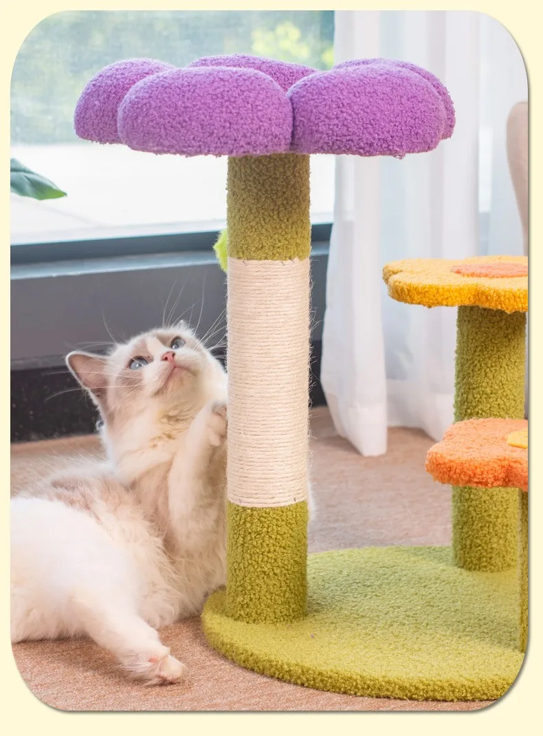 Gato descansando en la plataforma superior