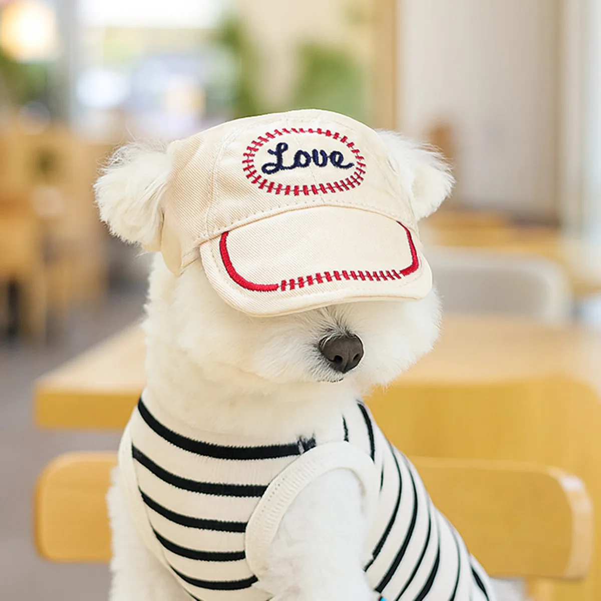 Sombrero para el sol bordado para mascotas, tocado para perros y gatos, sombrero para el sol para mascotas, accesorios bonitos, gorra de béisbol, accesorios para cachorros - imagen 2