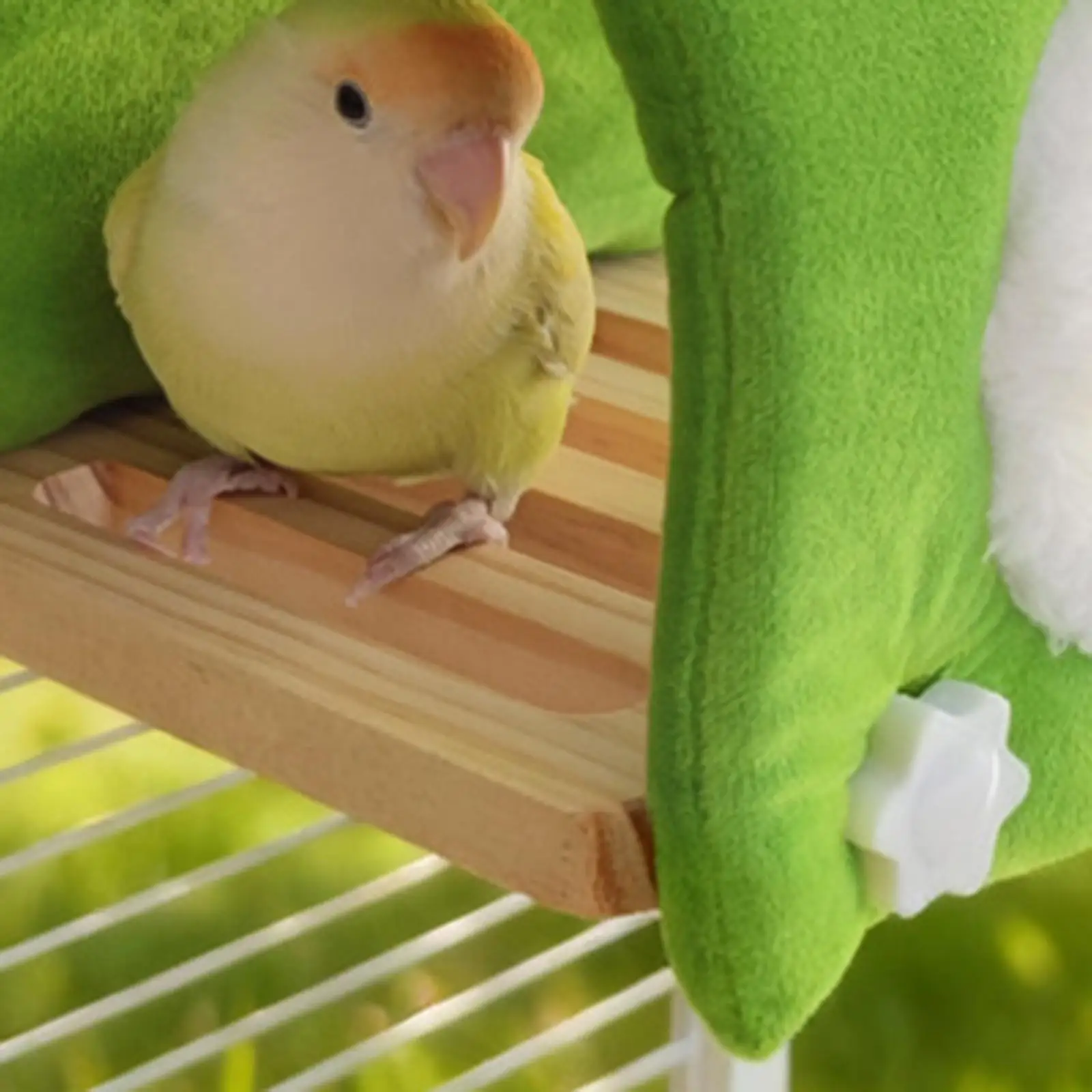 Plush Velvet Winter Bird Nest House Cozy Hanging Cave Bed for Parrot Cockatiel Lovebird Finch Small Animal Plush Velvet Winter Bird Nest House Cozy Hanging Cave Bed for Parrot Cockatiel Lovebird Finch Small Animal