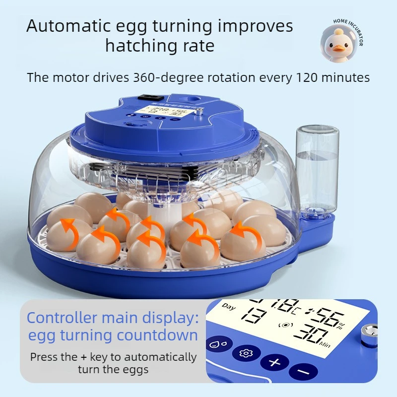 Incubadora automática huevos con volteador – Compacta - imagen 3