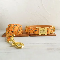 Collar de perro personalizado con grabado gratuito y correa a juego