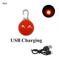 Red USB Pendant