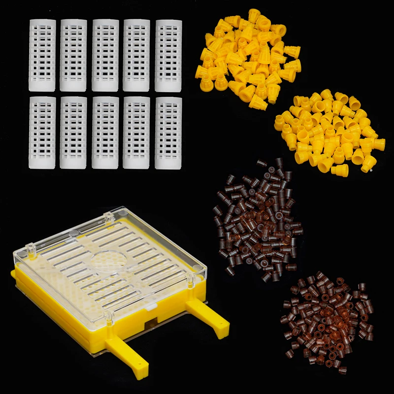Juego herramientas apicultura – Caja cría multifuncional abejas - imagen 5