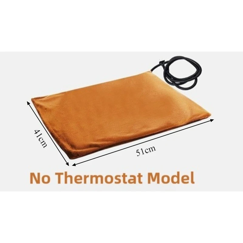No Thermostat Model