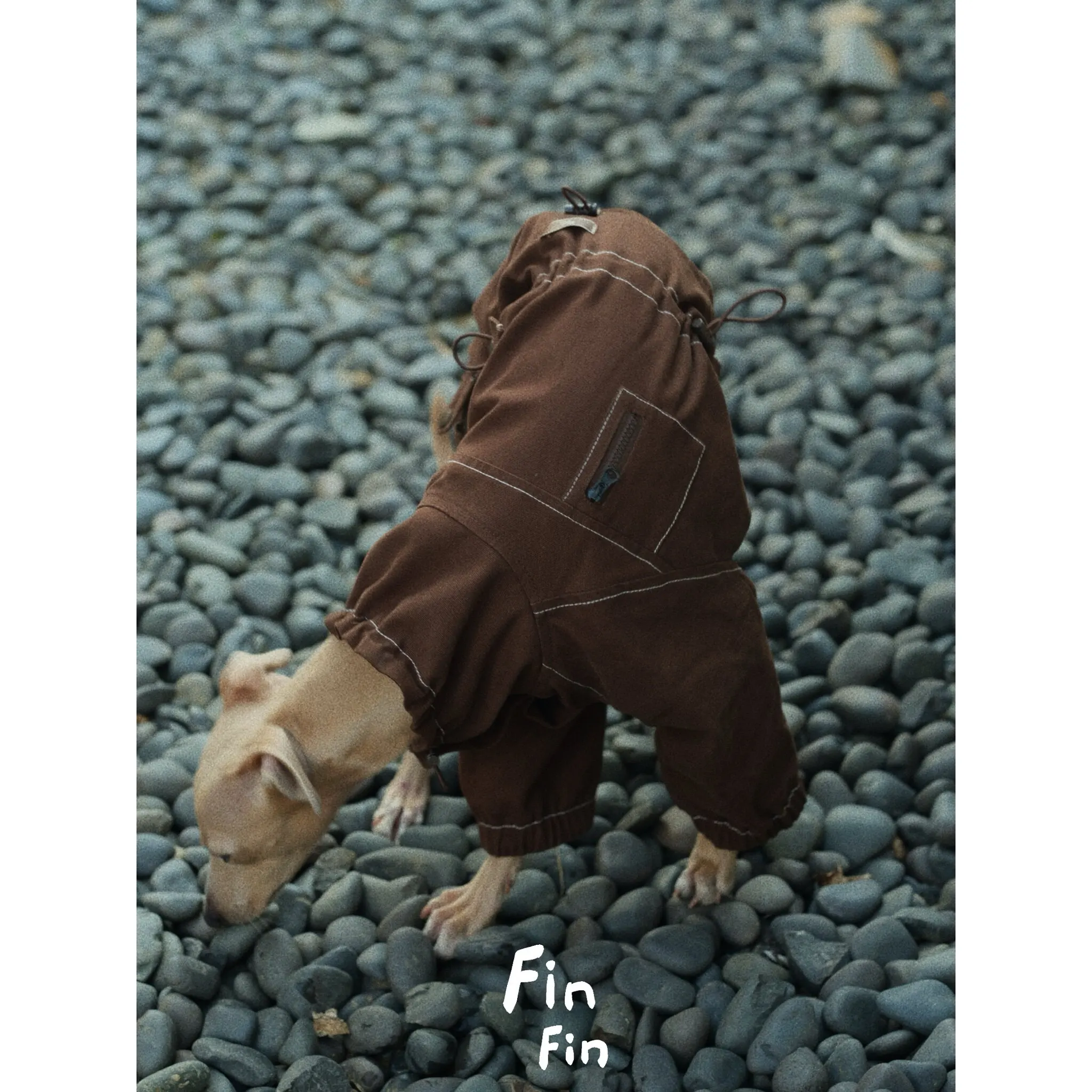 Chaqueta para galgo italiano Whippet cuello alto ajuste - imagen 4