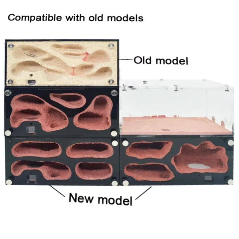 Control de temperatura de granja de hormigas acrílicas, nido de hormigas de hormigón, expansión infinita, casa de insectos, bebedero de colonias, Kit de accesorios - imagen 5