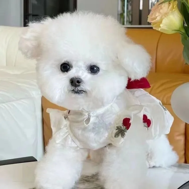 Ropa para perros con flores bordadas, falda de gasa de calabaza transpirable, falda de burbujas, vestidos de cachorro con lazo fino de peluche, Verano - imagen 4