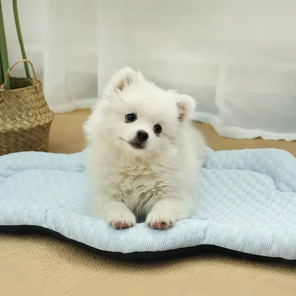 Estera refrescante, accesorios para perros, perrera de verano, sofá, cama para bebé, camas para mascotas, productos para perros pequeños, accesorios de cojín, casa para interiores - imagen 5