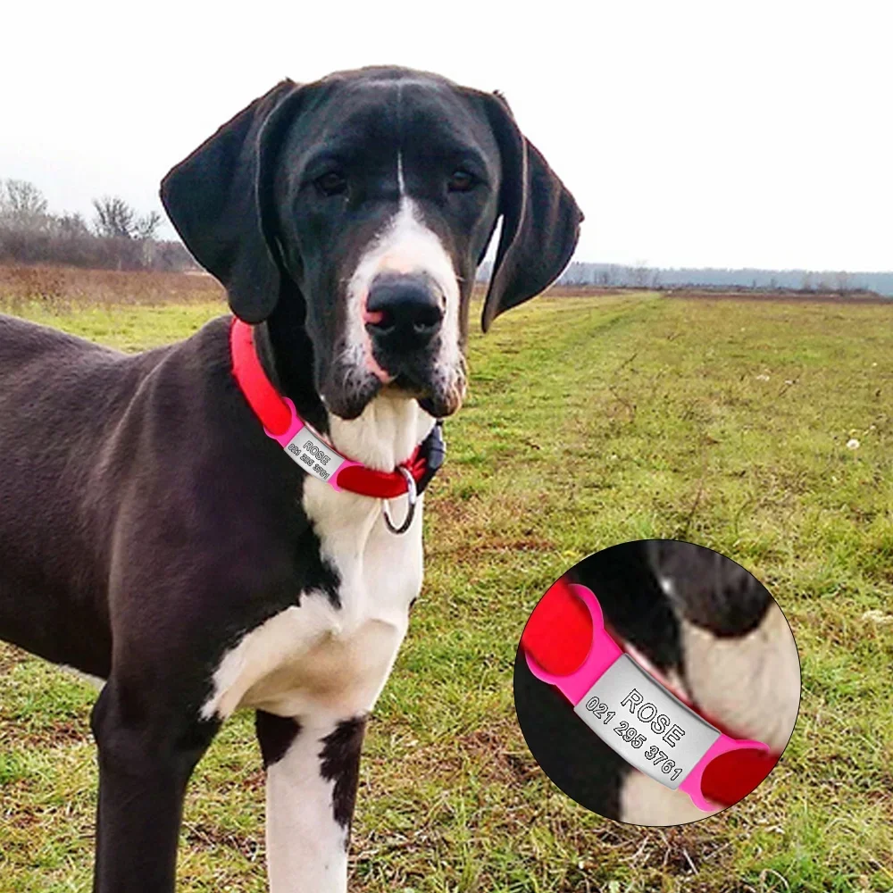 Etiqueta de silicona de acero inoxidable para perro y gato, placa de identificación personalizada con nombre grabado, Collar suave antipérdida - imagen 3