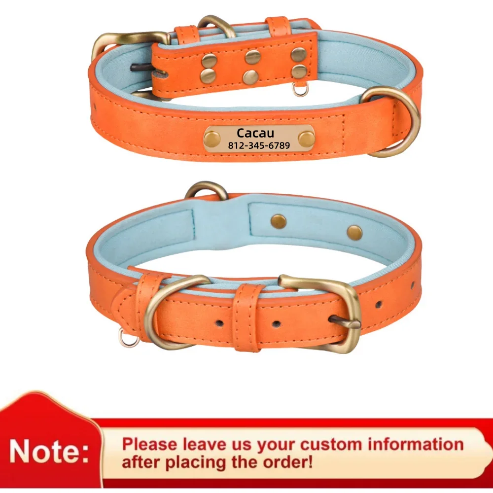 Orange Collar