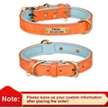 Orange Collar