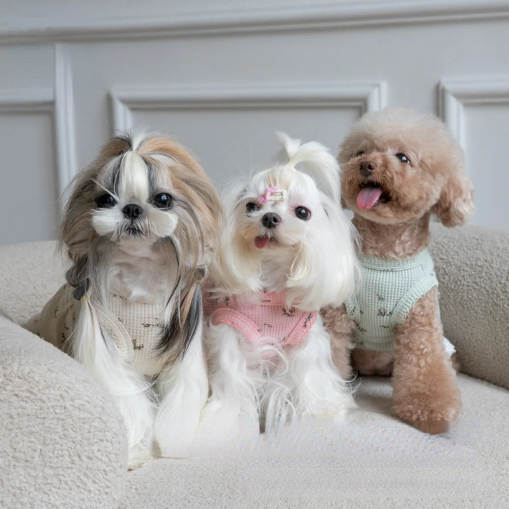 Ropa de otoño e invierno para mascotas, chaleco bordado con gofres de oso para el hogar, vestido de Navidad de Año Nuevo para perros y gatos, vestidos para perros, ropa para perros - imagen 2