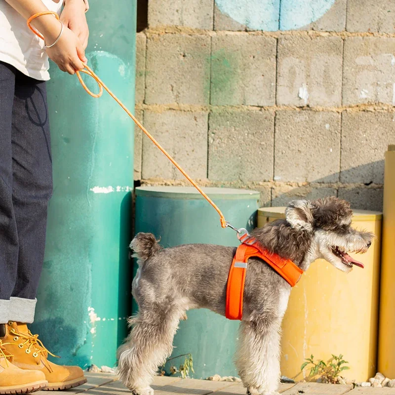 Winhyepet-Correa para perro ajustable de nailon, duradera, antideslizante, colorida, 120CM, manos libres, sin enredos, para cachorros pequeños y grandes, 2022 - imagen 4