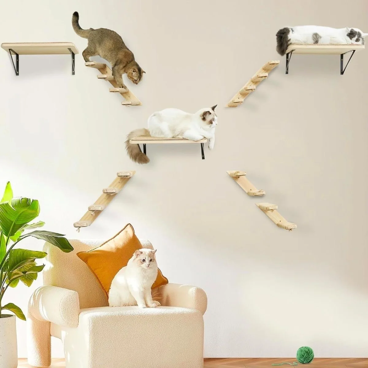 Marco de escalada de madera para gatos, muebles montados en la pared para gatos, escalera de escalada para gatos, hamaca, plataforma de salto para gatos, estructura de escalada - imagen 2