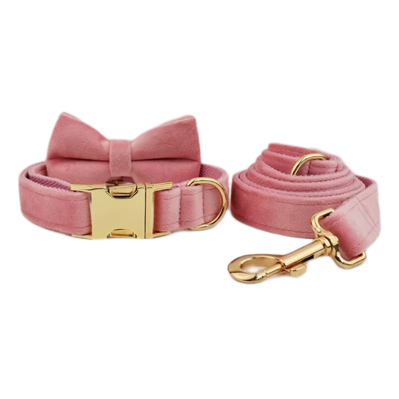 Bow Collar Leash Set