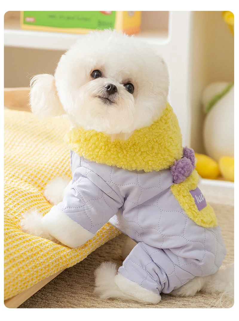 Sudadera invierno perro pequeño Teddy Chihuahua gruesa algodón viento - imagen 5