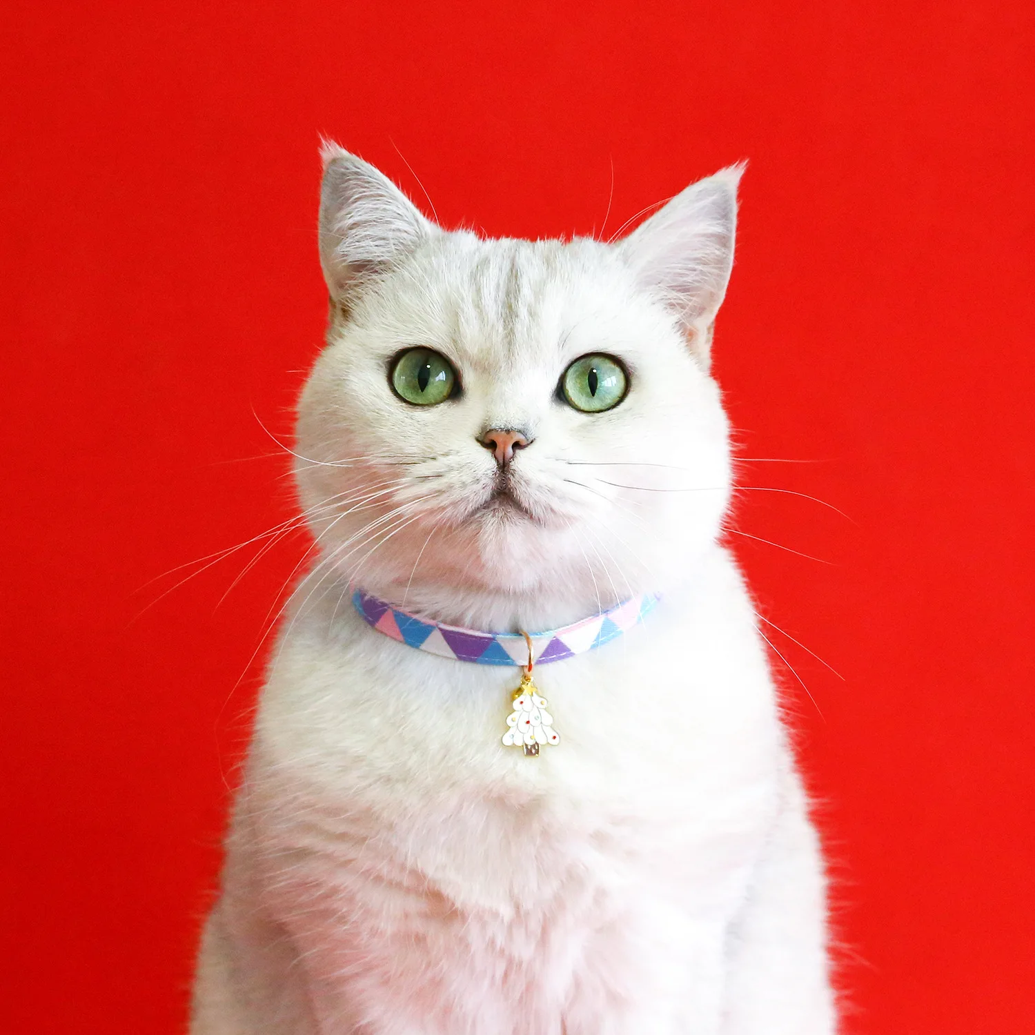 Collar con patrón de dibujos animados para mascotas, colgante de campana, hebilla de seguridad, accesorios de suministros para cachorros, gatitos y conejos, navidad - imagen 5