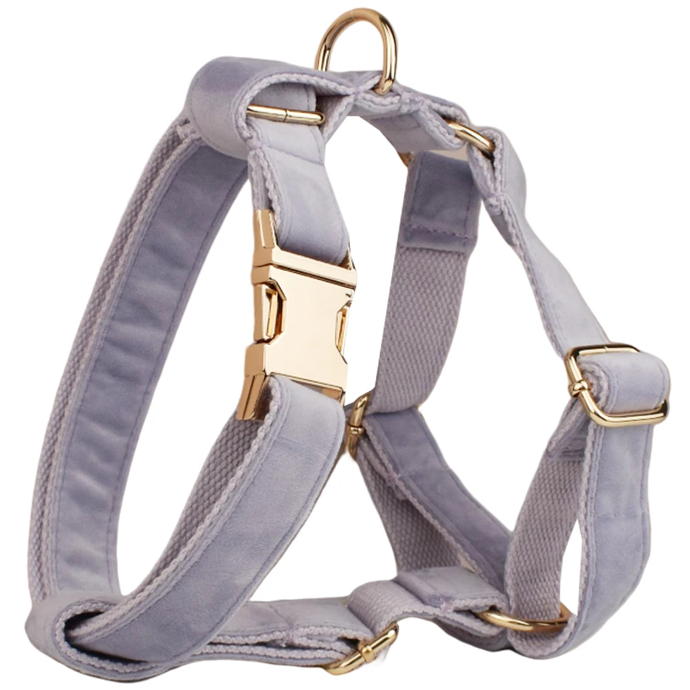 Harness