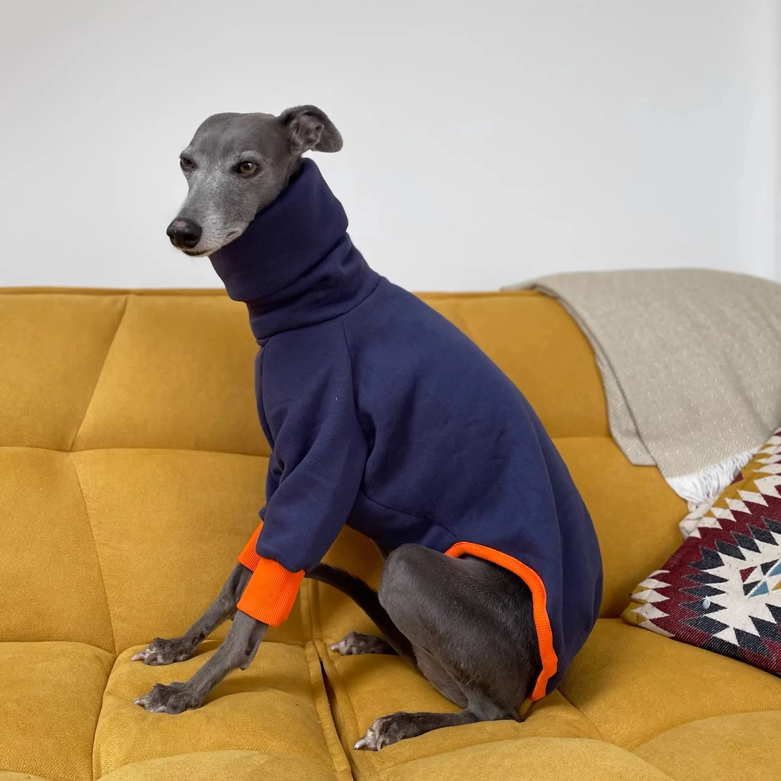 Mono de 2 patas de lana azul a la moda para galgo italiano, camiseta de manga larga con cuello alto para perros, pijamas de invierno para Whippet - imagen 4