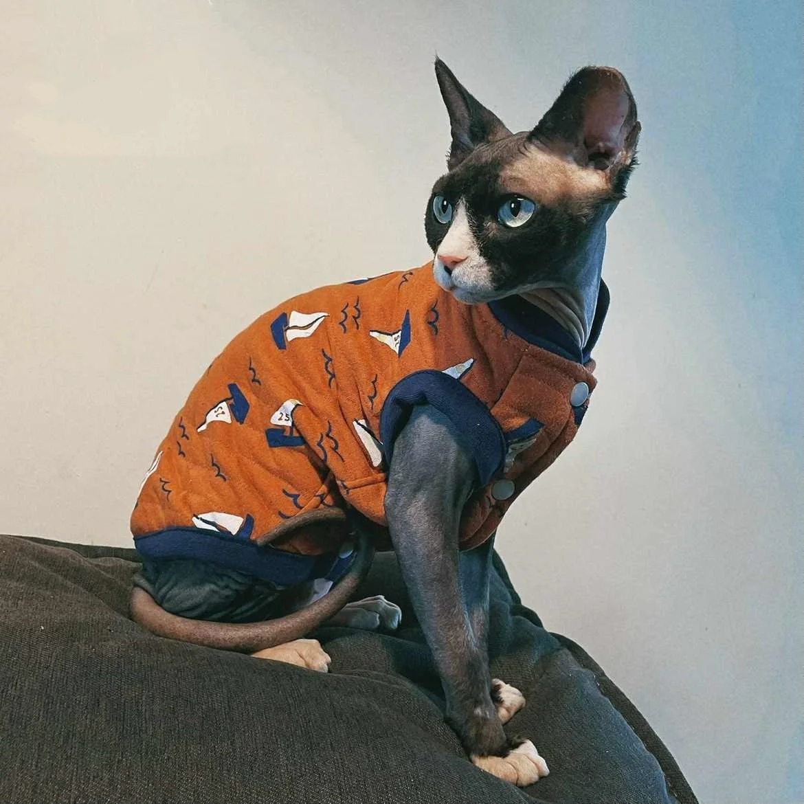 Chaqueta de invierno acolchada de algodón suave naranja para gato sin pelo Cálido cárdigan chaleco abotonado para Devon Rex Sphynx Cat Fashion Sudadera - imagen 2