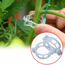 Clips reutilizables para bolsas de pienso de gato y perro