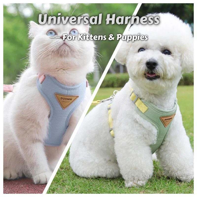 Conjunto de arnés y correa para gatos a prueba de escape: chaleco ajustable con insignia de cuero y malla transpirable para caminar al aire libre de gatitos/cachorros - imagen 5