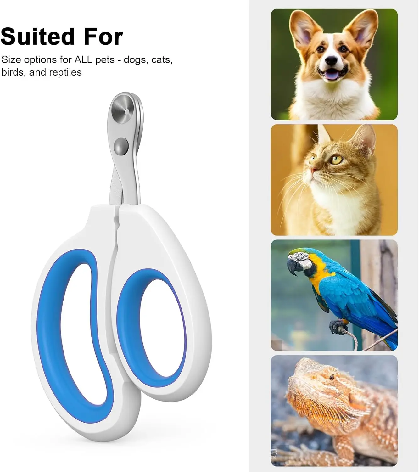 Cortauñas para gatos con orificio de corte Circular, evitan el corte, cortaúñas para mascotas, hoja en ángulo afilada, juego profesional de recortador de patas - imagen 2