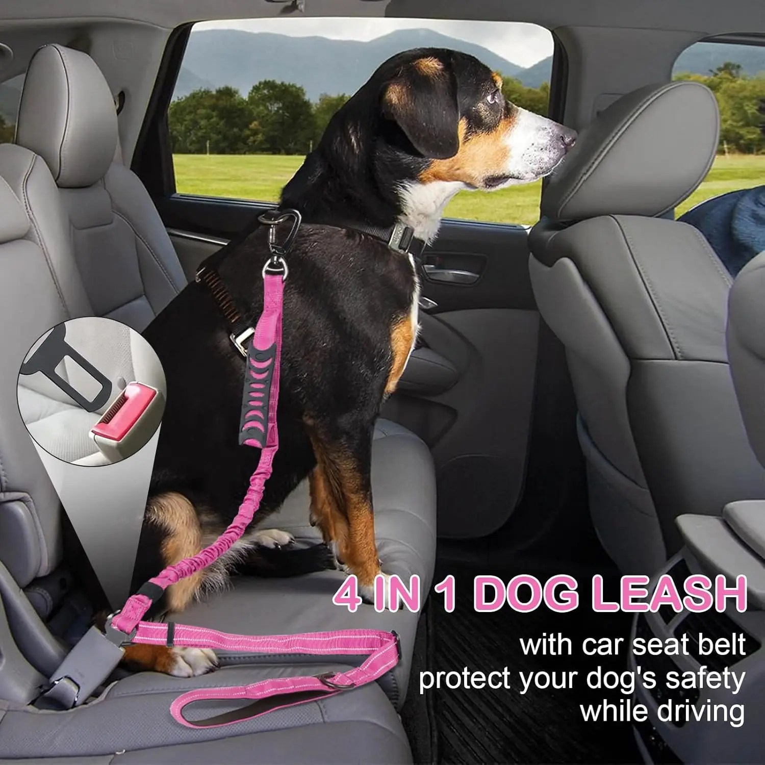 Correa reflectante para perros medianos y grandes con seguridad coche - imagen 4