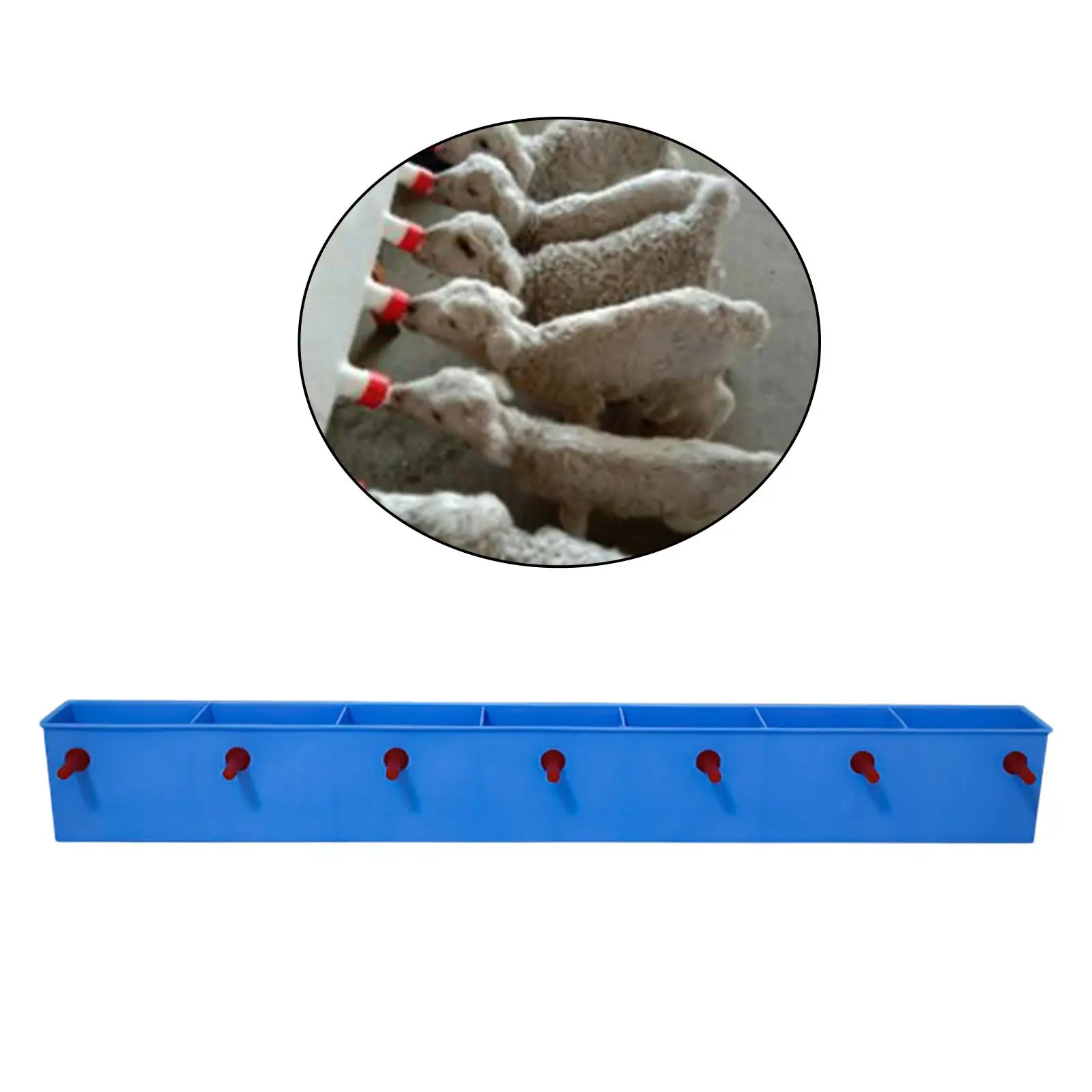 MiLK Feed Bucket Large-capacity MiLK Bottle Feeder Livestock