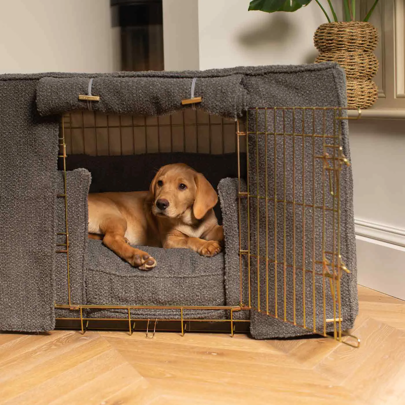 Cubierta térmica exterior para perros grandes - impermeable y duradera - imagen 2