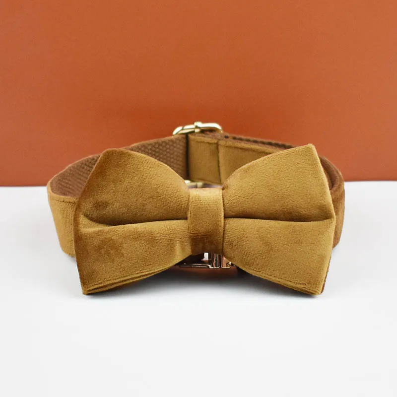 Bow Collar20