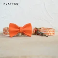 Bow Tie Collar Leash