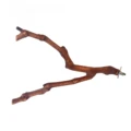 2 bifurcated branche