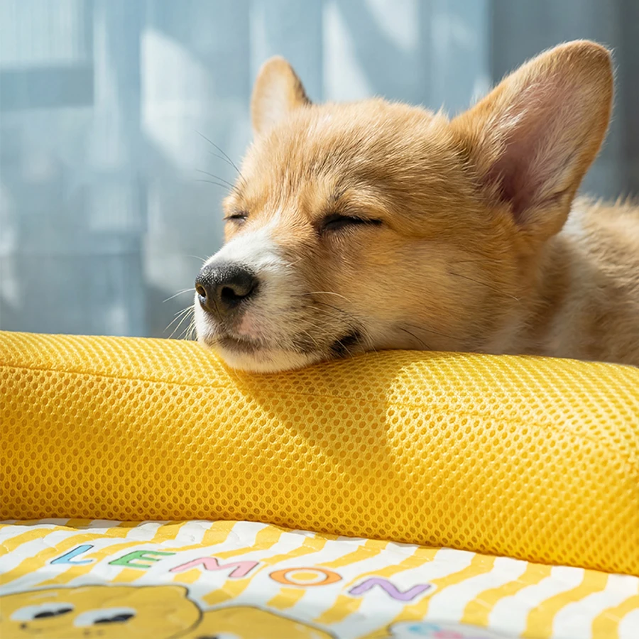 Cama fresca transpirable y lavable para gatos y perros medianos - imagen 5