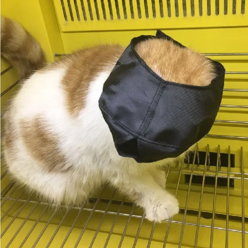 Mascarilla para ojos de Gato para mascotas, limpieza de baño para gatos, suministros de corte de uñas, emociones relajantes quirúrgicas, accesorios para gatos - imagen 3