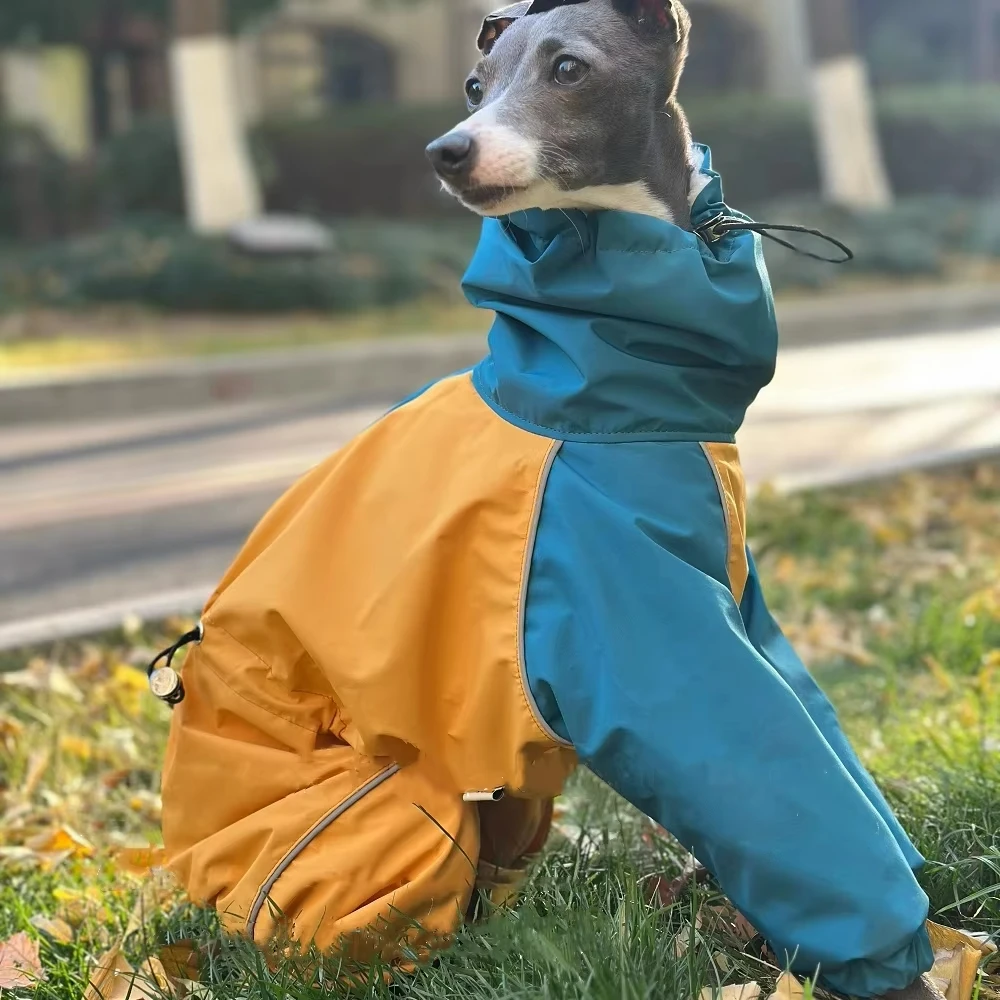 Ropa de moda para perros galgo italiano, sudadera cálida de 4 patas con cuello alto para perros, chaqueta de invierno, abrigo, ropa de descanso suave para Bellington - imagen 3