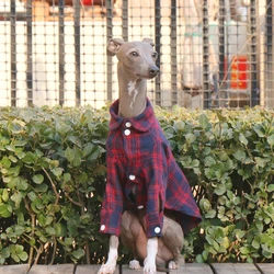 Camisa a cuadros de algodón para perros – Primavera