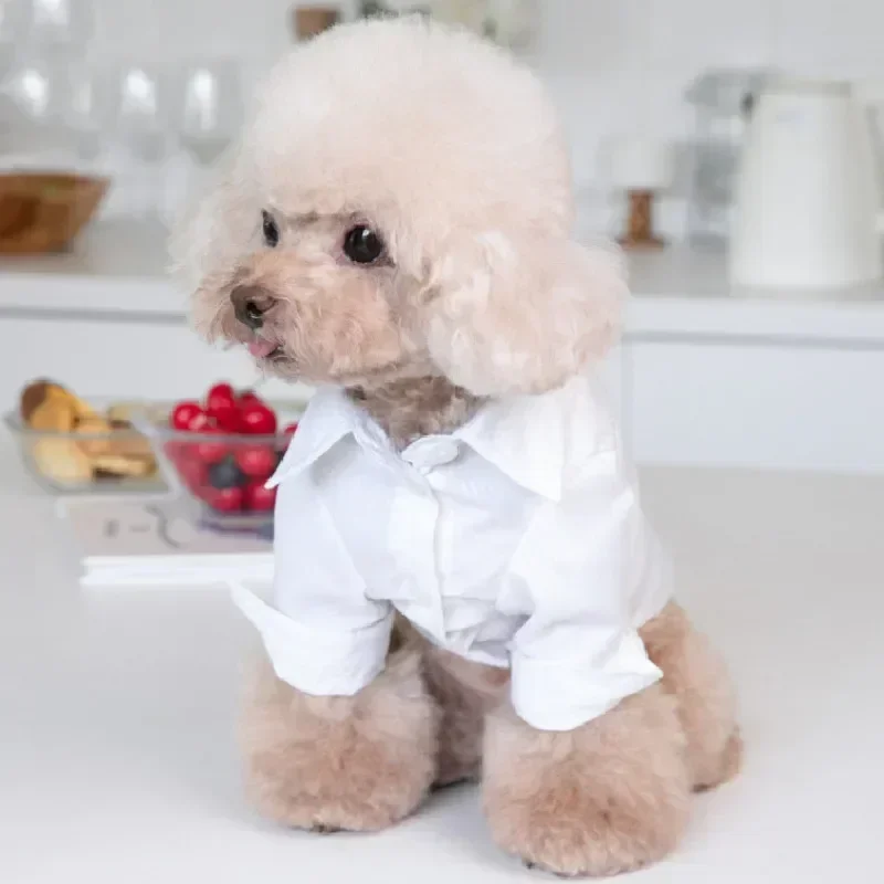 White Cat Dog Shirt Boy Dog Clothes Wedding Costume Pomeranian Shih Tzu Maltese Poodle Bichon Frise Pet Clothing Apparel White - imagen 4