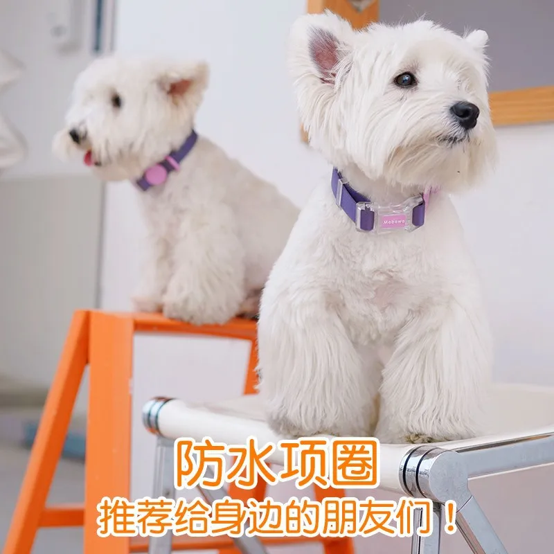 Macaron-Collar de goma de PVC impermeable para perro pequeño, correa ajustable duradera antiolor para mascotas, conjunto de Collar básico suave multicolor - imagen 4