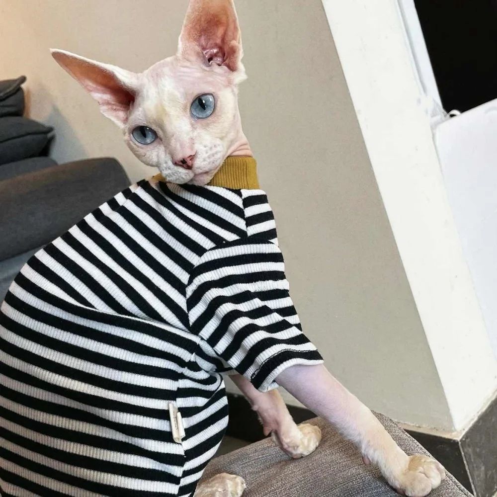 Ropa de gato, camiseta a rayas de algodón amarillo de primavera para gato Sphynx, abrigo suave verde y azul a la moda para gato abistán en otoño - imagen 3
