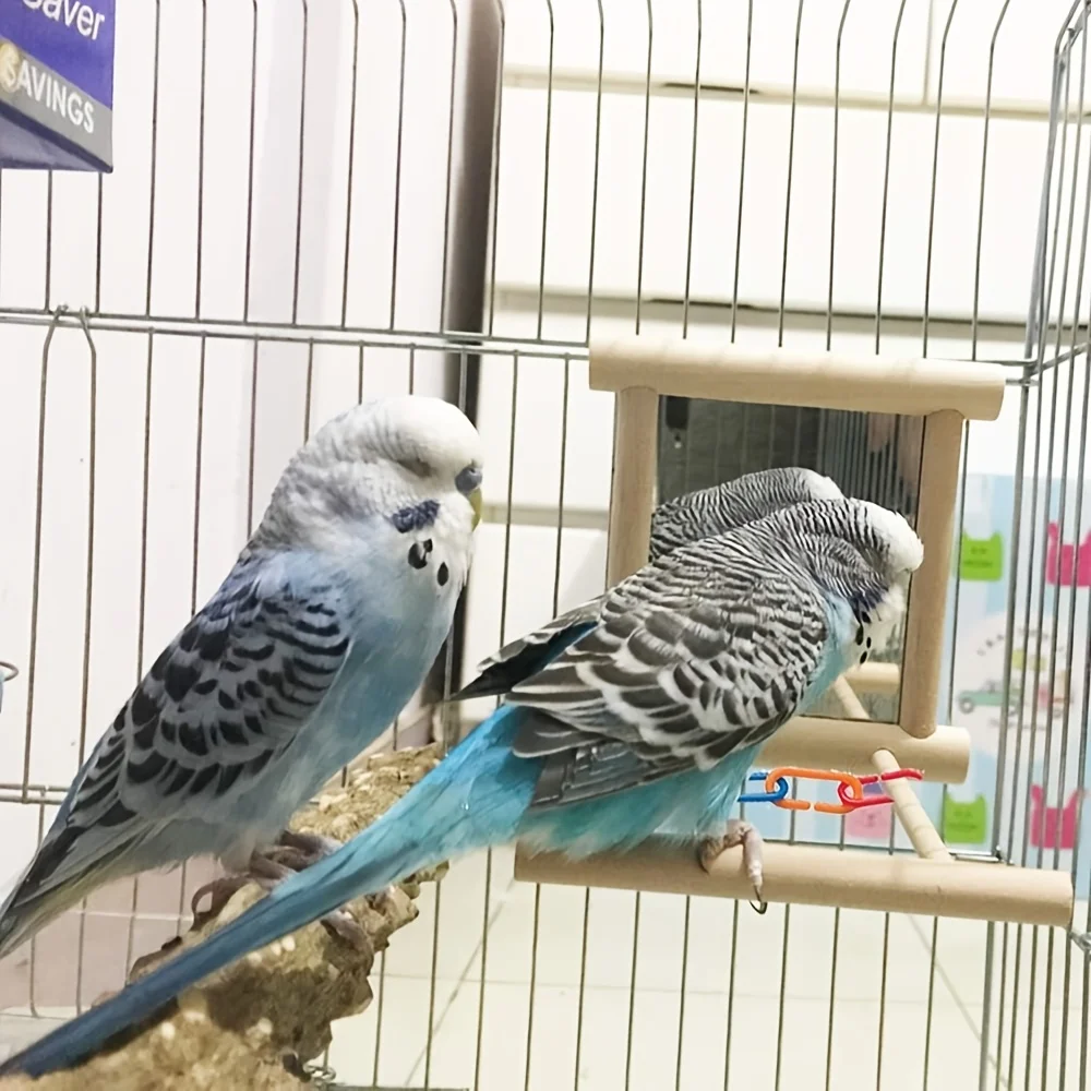 Soporte de espejo para loros, 1 unidad, adecuado para pájaros, jugar y perca en jaulas, accesorios para periquitos y otros loros. - imagen 4